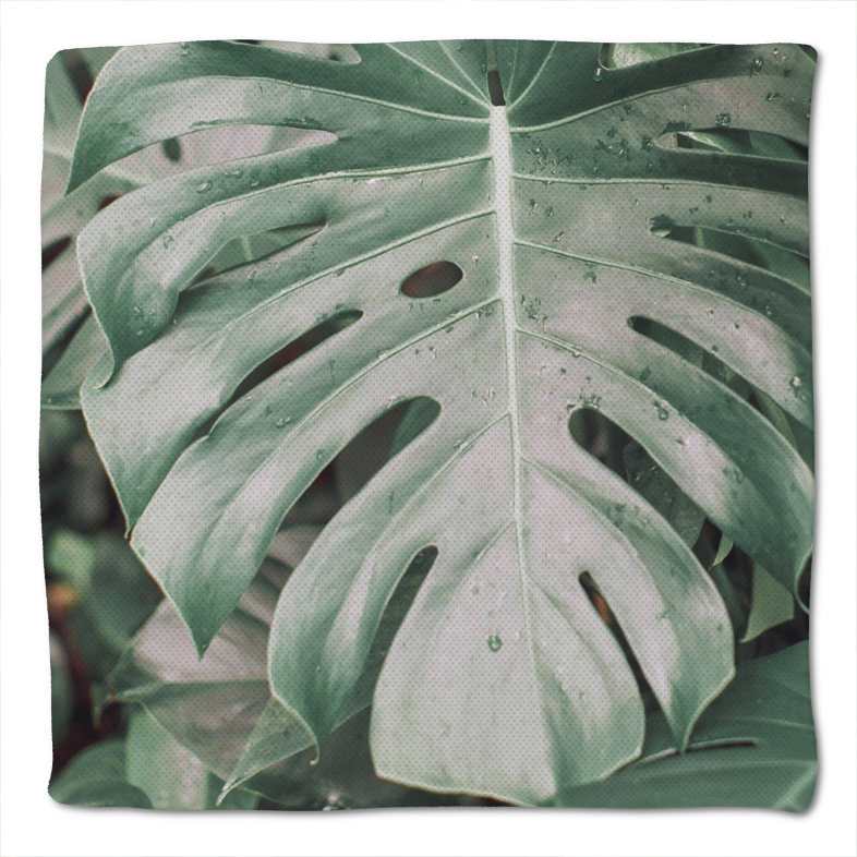 Sitzkissen Monstera Foto 40x40x3cm